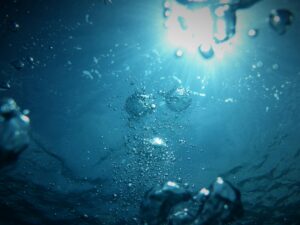 Forskere i Sønderborg vil fjerne mikroplast fra havet med plantebaseret metode
