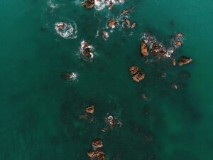 Nye planer om stenrev i Isefjorden kan styrke naturen